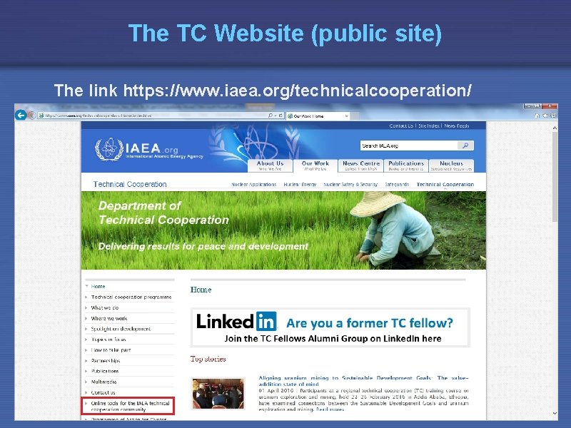 The TC Website (public site) The link https: //www. iaea. org/technicalcooperation/ 5/6/2009 