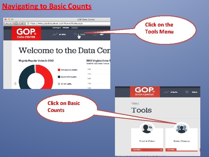 Navigating to Basic Counts Click on the Tools Menu Click on Basic Counts 