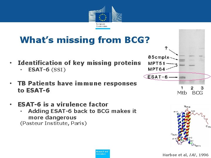 What’s missing from BCG? • Identification of key missing proteins • ESAT-6 (SSI) •