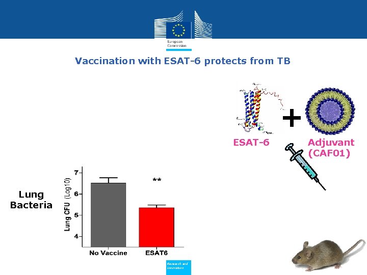 Vaccination with ESAT-6 protects from TB Non-Vaccinated ESAT-6 D 15 ESAT-6 X + ESAT-6