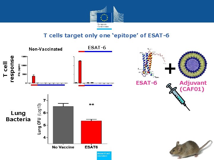 T cells target only one ‘epitope’ of ESAT-6 T cell response Non-Vaccinated D 15