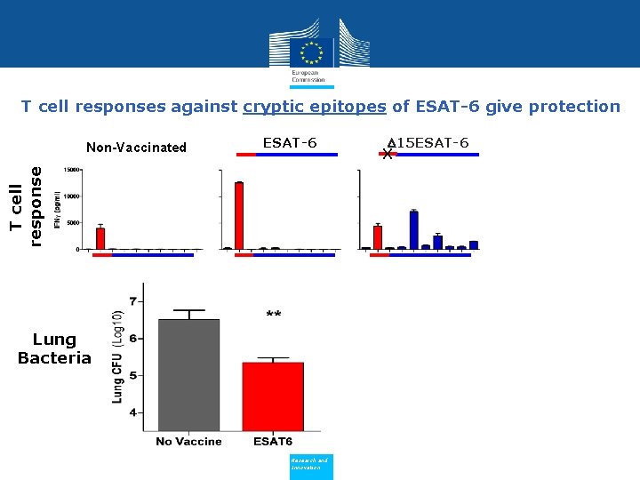 T cell responses against cryptic epitopes of ESAT-6 give protection ESAT-6 T cell response