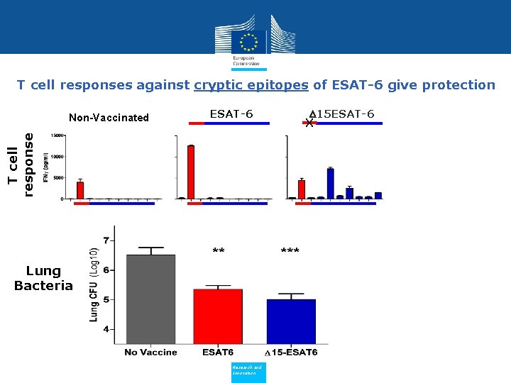 T cell responses against cryptic epitopes of ESAT-6 give protection ESAT-6 T cell response