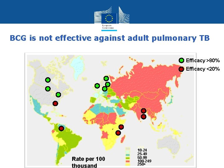 BCG is not effective against adult pulmonary TB Efficacy >80% Efficacy <20% Rate per