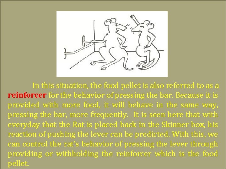 In this situation, the food pellet is also referred to as a reinforcer for