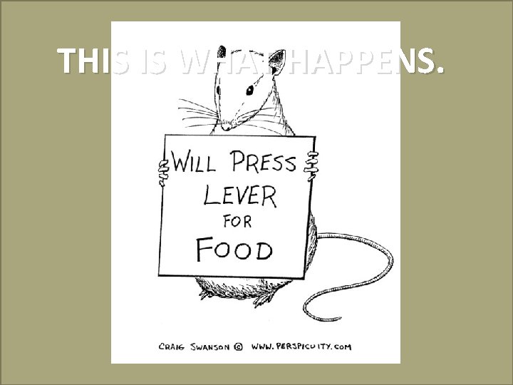 THIS IS WHAT HAPPENS. 