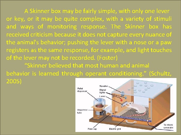 A Skinner box may be fairly simple, with only one lever or key, or