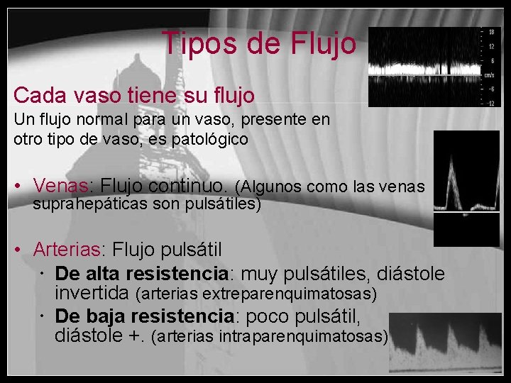 Tipos de Flujo Cada vaso tiene su flujo Un flujo normal para un vaso,