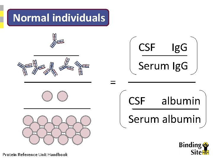 Normal individuals CSF Ig. G Serum Ig. G = CSF albumin Serum albumin Protein
