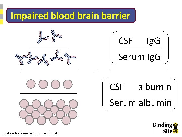 Impaired blood brain barrier CSF Ig. G Serum Ig. G = CSF albumin Serum