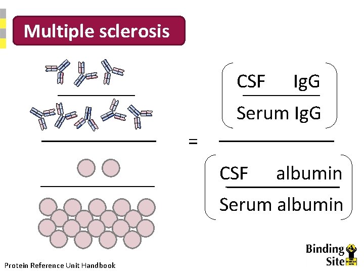 Multiple sclerosis CSF Ig. G Serum Ig. G = CSF albumin Serum albumin Protein