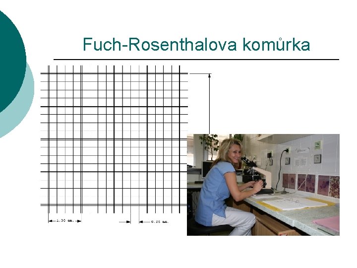 Fuch-Rosenthalova komůrka 