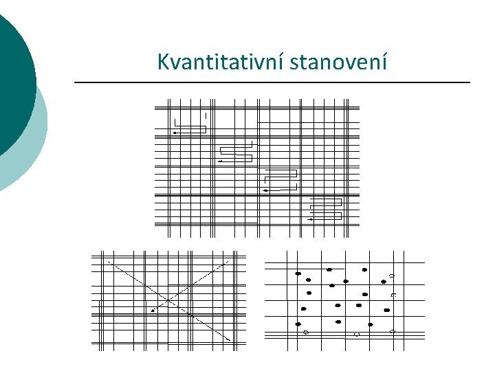 Kvantitativní stanovení 