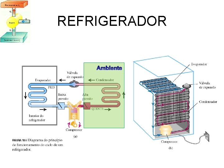 REFRIGERADOR 