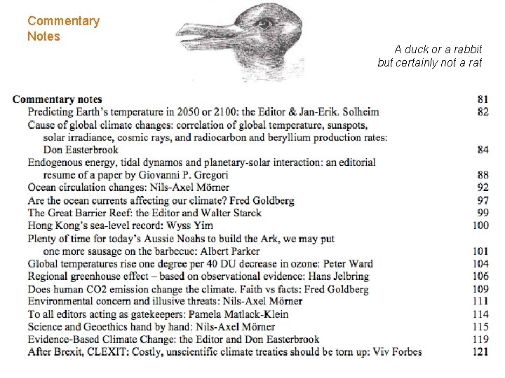 Commentary Notes A duck or a rabbit but certainly not a rat 
