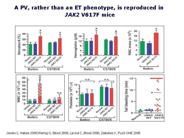 A PV, rather than an ET phenotype, is reproduced in JAK 2 V 617