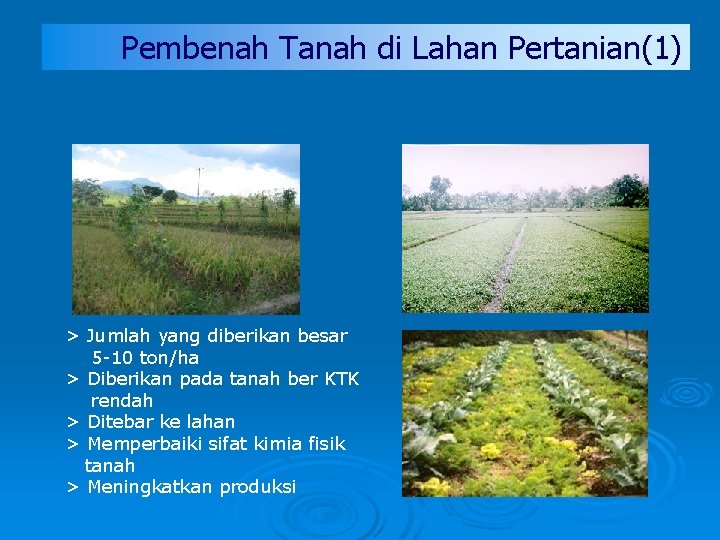 Pembenah Tanah di Lahan Pertanian(1) > Jumlah yang diberikan besar 5 -10 ton/ha >