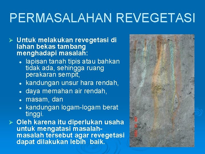 PERMASALAHAN REVEGETASI Untuk melakukan revegetasi di lahan bekas tambang menghadapi masalah: l lapisan tanah