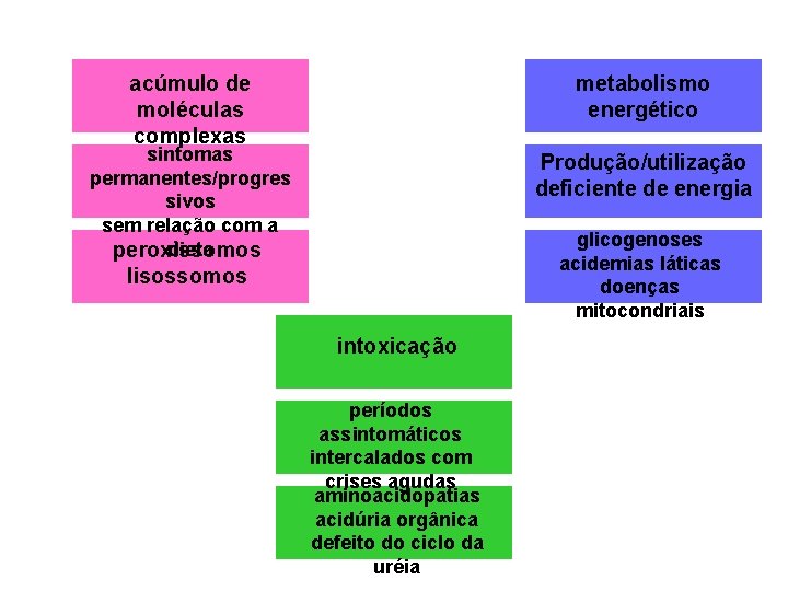 acúmulo de moléculas complexas metabolismo energético sintomas permanentes/progres sivos sem relação com a dieta