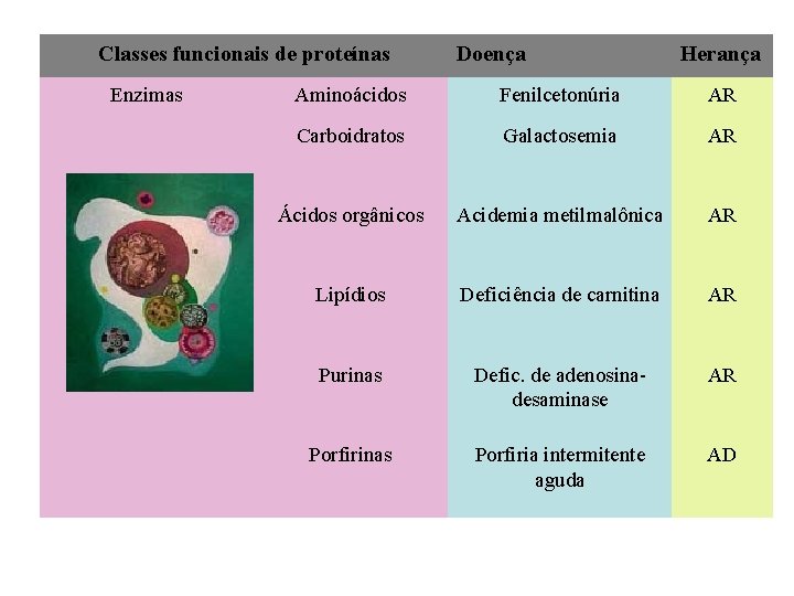 Classes funcionais de proteínas Enzimas Doença Herança Aminoácidos Fenilcetonúria AR Carboidratos Galactosemia AR Ácidos