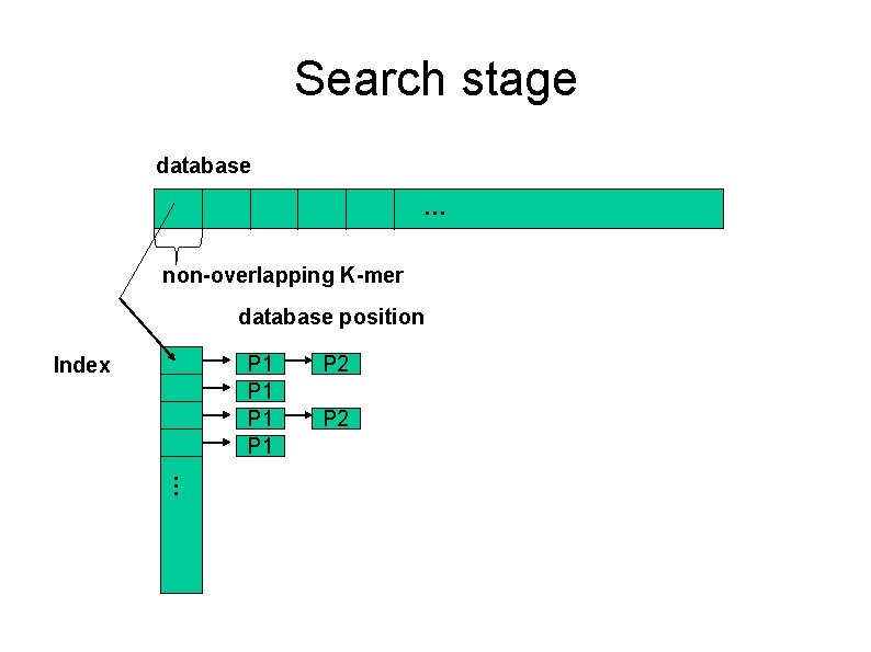 Search stage database … non-overlapping K-mer database position P 1 P 1 Index P