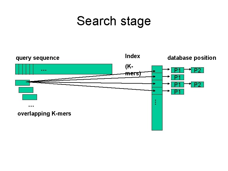 Search stage query sequence … overlapping K-mers database position (Kmers) P 1 P 1