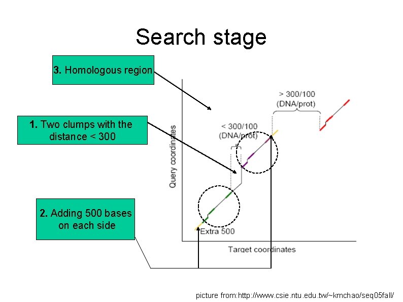 Search stage 3. Homologous region 1. Two clumps with the distance < 300 2.