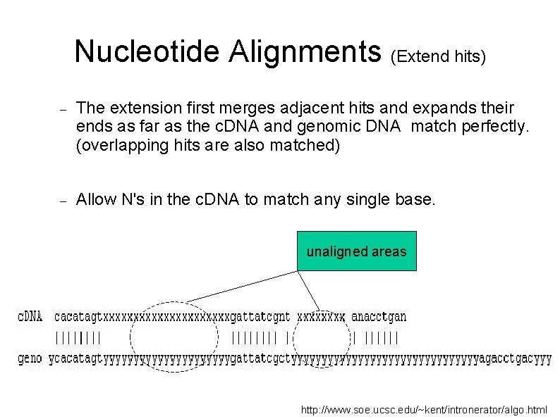 Nucleotide Alignments (Extend hits) The extension first merges adjacent hits and expands their ends