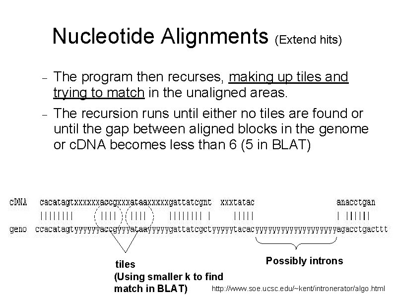 Nucleotide Alignments (Extend hits) The program then recurses, making up tiles and trying to