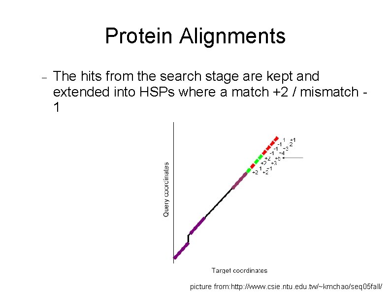 Protein Alignments The hits from the search stage are kept and extended into HSPs