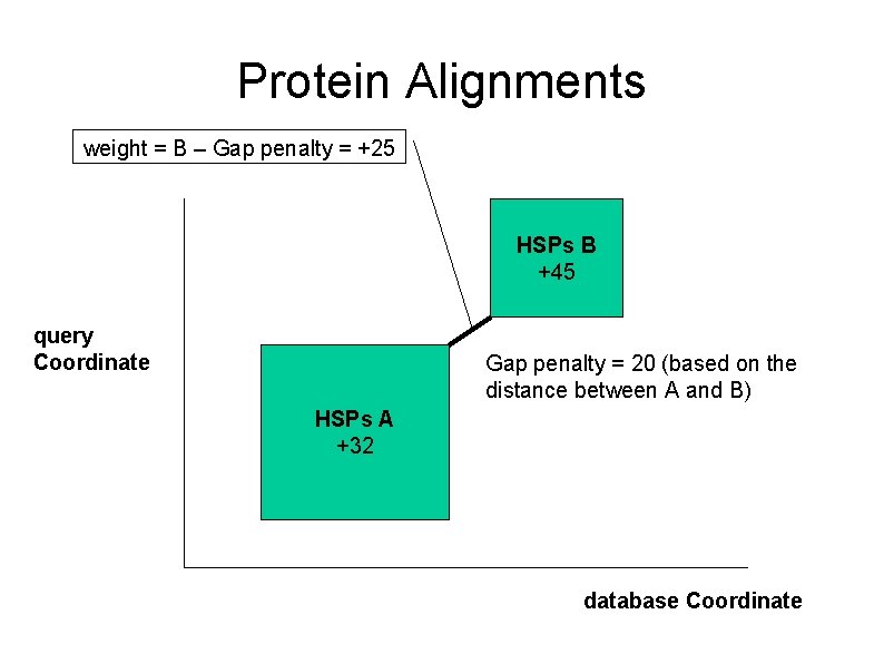 Protein Alignments weight = B – Gap penalty = +25 HSPs B +45 query