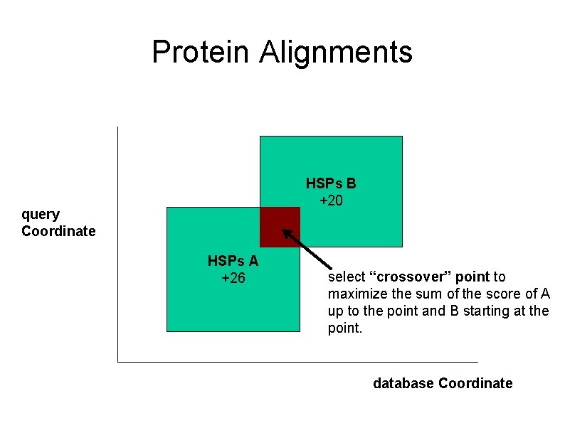 Protein Alignments HSPs B +20 query Coordinate HSPs A +26 select “crossover” point to