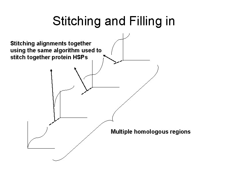 Stitching and Filling in Stitching alignments together using the same algorithm used to stitch