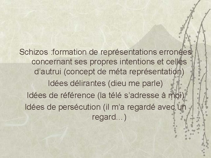 Schizos : formation de représentations erronées concernant ses propres intentions et celles d’autrui (concept