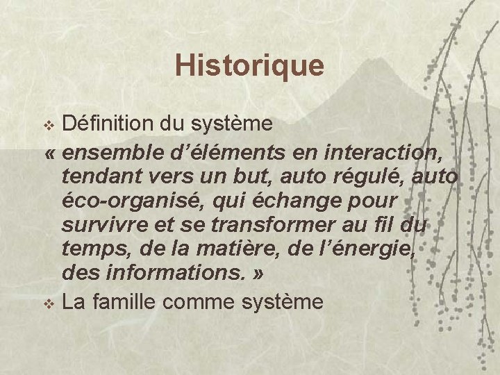 Historique Définition du système « ensemble d’éléments en interaction, tendant vers un but, auto