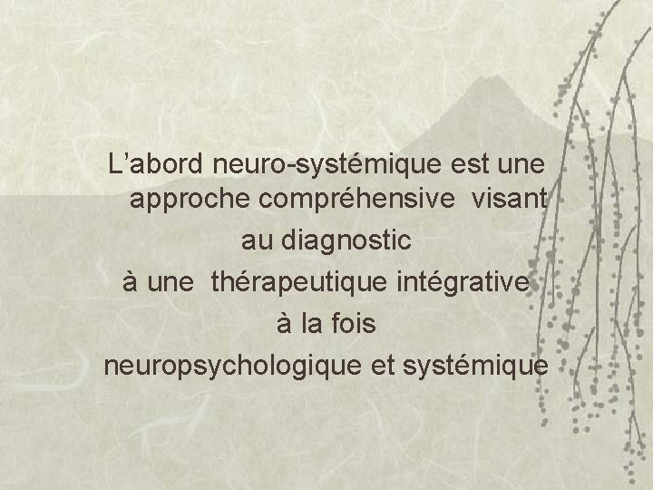 L’abord neuro-systémique est une approche compréhensive visant au diagnostic à une thérapeutique intégrative à