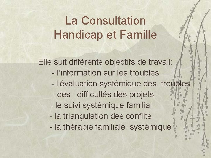 La Consultation Handicap et Famille Elle suit différents objectifs de travail: - l’information sur