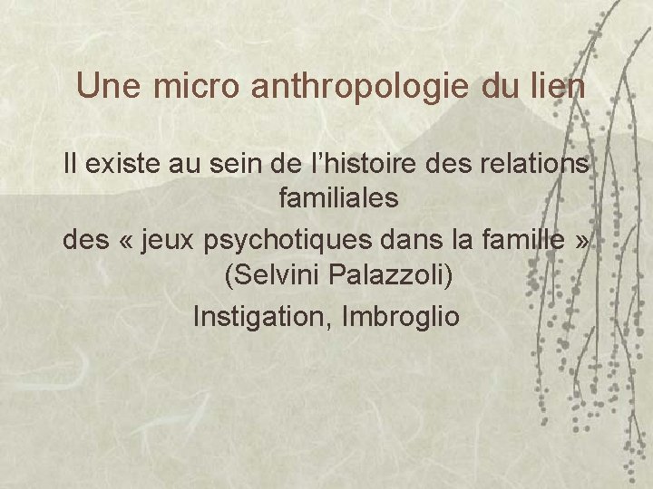 Une micro anthropologie du lien Il existe au sein de l’histoire des relations familiales