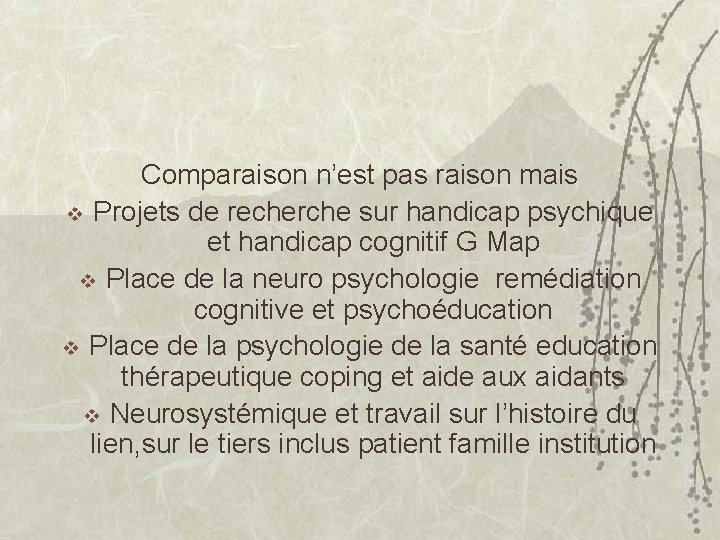 Comparaison n’est pas raison mais v Projets de recherche sur handicap psychique et handicap