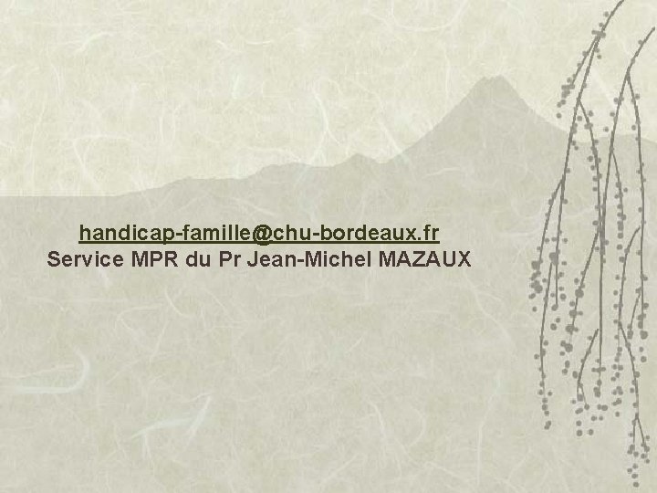 handicap-famille@chu-bordeaux. fr Service MPR du Pr Jean-Michel MAZAUX 