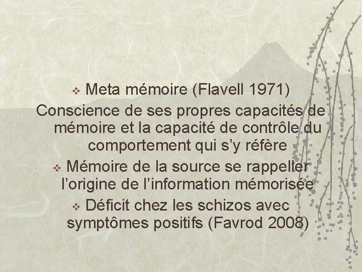 Meta mémoire (Flavell 1971) Conscience de ses propres capacités de mémoire et la capacité