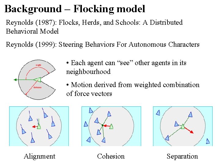 Background – Flocking model Reynolds (1987): Flocks, Herds, and Schools: A Distributed Behavioral Model