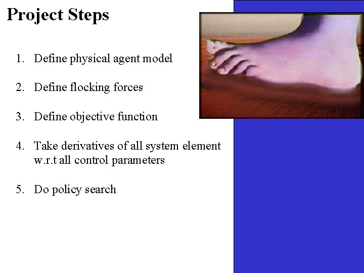 Project Steps 1. Define physical agent model 2. Define flocking forces 3. Define objective