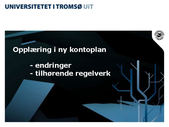 Opplæring i ny kontoplan - endringer - tilhørende regelverk 