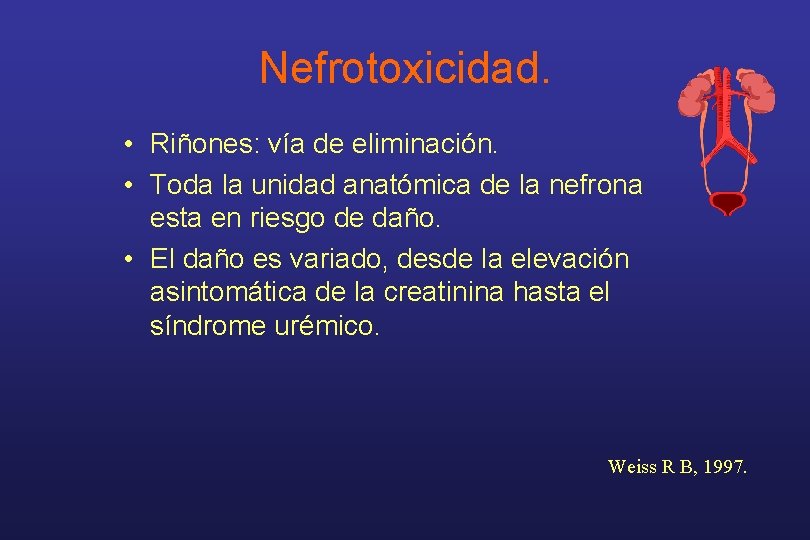 Nefrotoxicidad. • Riñones: vía de eliminación. • Toda la unidad anatómica de la nefrona