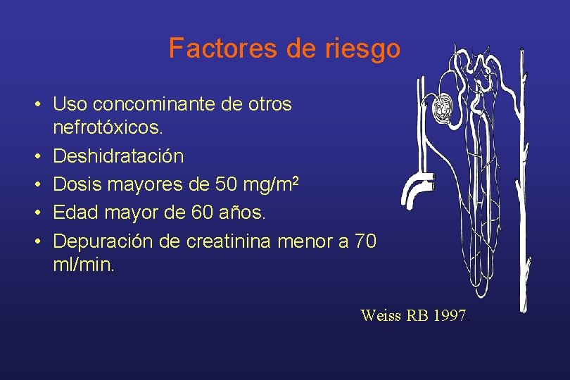 Factores de riesgo • Uso concominante de otros nefrotóxicos. • Deshidratación • Dosis mayores