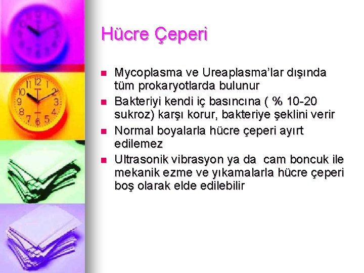 Hücre Çeperi n n Mycoplasma ve Ureaplasma’lar dışında tüm prokaryotlarda bulunur Bakteriyi kendi iç