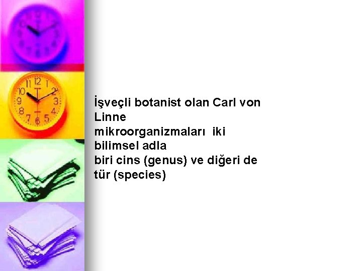 İşveçli botanist olan Carl von Linne mikroorganizmaları iki bilimsel adla biri cins (genus) ve