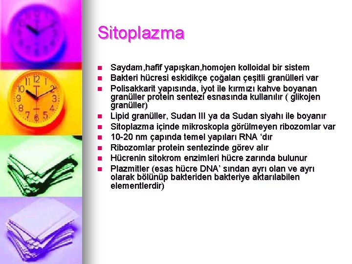 Sitoplazma n n n n n Saydam, hafif yapışkan, homojen kolloidal bir sistem Bakteri