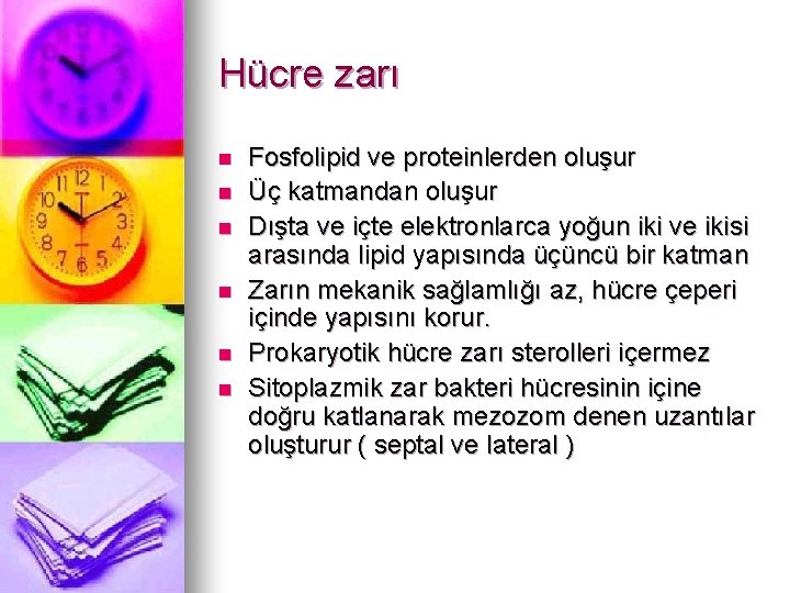 Hücre zarı n n n Fosfolipid ve proteinlerden oluşur Üç katmandan oluşur Dışta ve